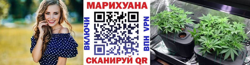 Каннабис конопля  Купить где  Харабали 